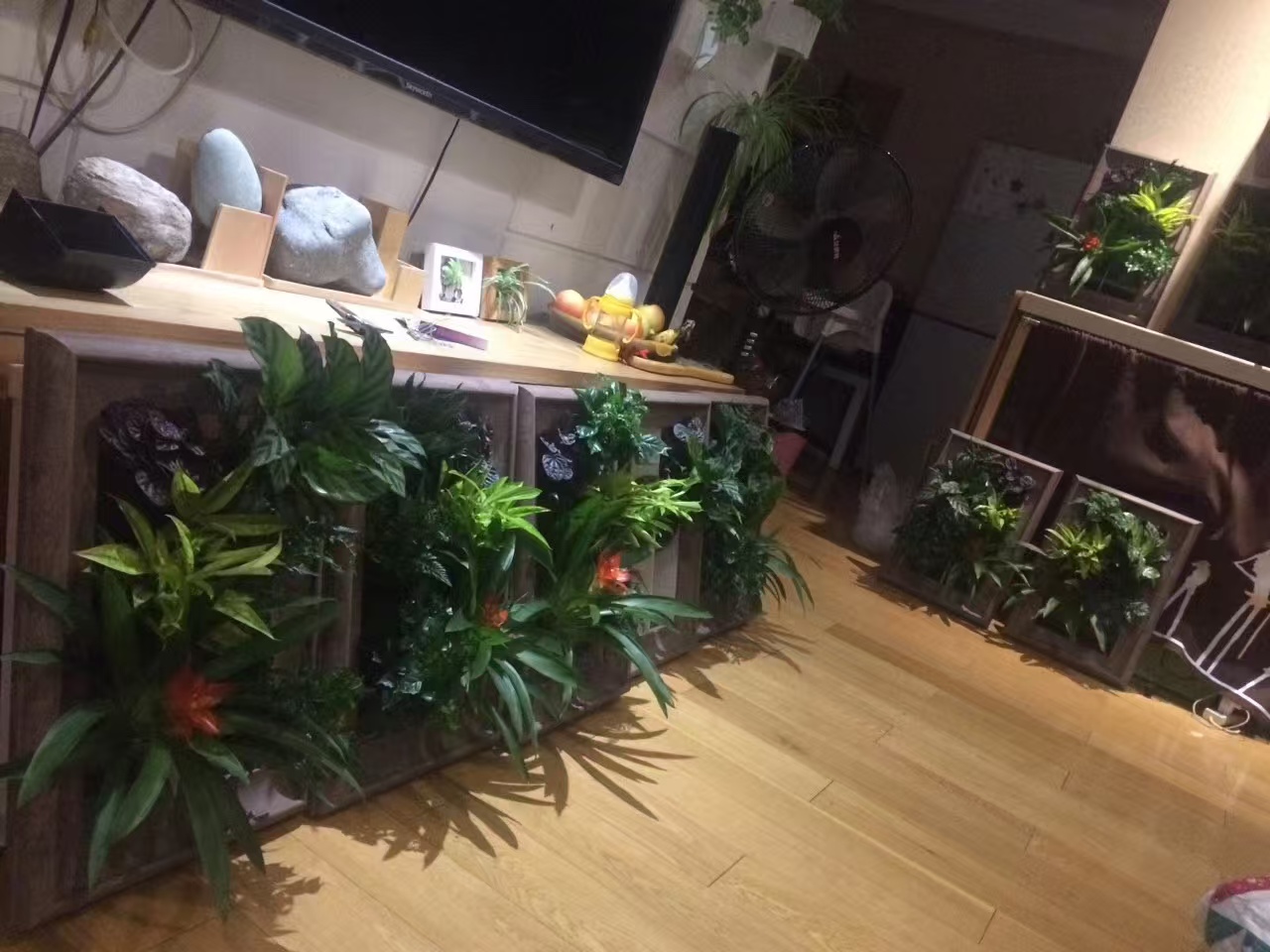 江苏 苔藓地毯  厂家供应