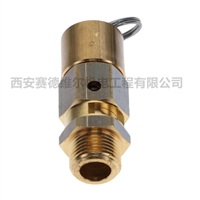 2202889101阿特拉斯空压机配件安全阀