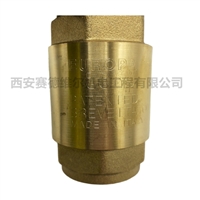 2235407100阿特拉斯空压机配件单向阀