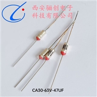 液体钽电容器CA30-63V-47UF-M精度20% 有极性 轴向引出