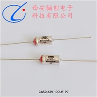 CA30-63V-100UF-M P7大容量 有极性 液体钽电容器 骊创供应