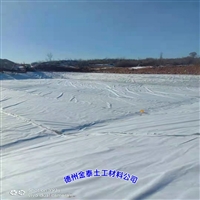 贵州防水土工布400克(100/0.2/100)PE复合土工布 大棚背坡排水
