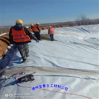 重庆市防水土工布1200克(300/0.6/300)PE复合土工膜 大棚背坡排水