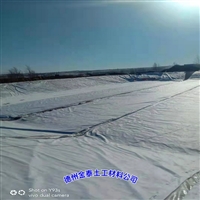 辽宁防渗土工布300克(100/0.1/100)PE复合土工布 污水池