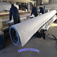 PE复合土工布 安徽400克(100/0.2/100)防渗土工布20kN