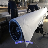 甘肃二布一膜 三层复合防渗膜防水土工布0.7mm高密度聚乙烯