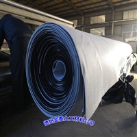 甘肃一布一膜 0.5mmPE膜夹层三层复合土工布0.7mm高密度聚乙烯