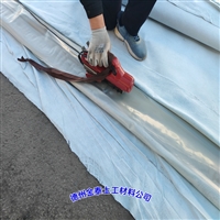 甘肃不透水土工布900克(200/0.5/200)PE复合土工布 污水池
