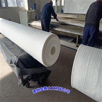 FN2二布一膜 新疆900克(150/0.6/150)防渗土工布5kN