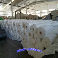 PE复合土工布 江苏700克(150/0.4/150)防水土工布12kN
