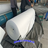 PE复合土工布 湖北1200克(300/0.6/300)防渗土工布10kN