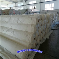 PE复合土工布 辽宁700克(150/0.4/150)不透水土工布12kN