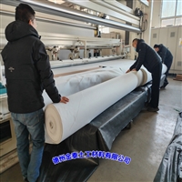 FN2两布一膜 甘肃1500克(250/1.0/250)不透水土工布7.5kN