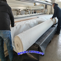 PE复合土工布 甘肃700克(150/0.4/150)不透水土工布5kN