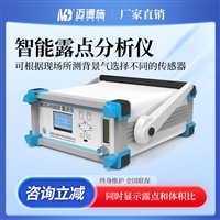 迈德施工业便携式露点仪 压缩空气露点检测 电力化工气体温湿度仪
