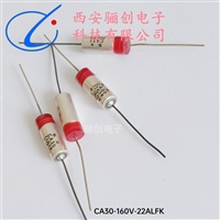 160V液体钽电容 有极性 轴向引出CA30-160V-22UF-M骊创供应