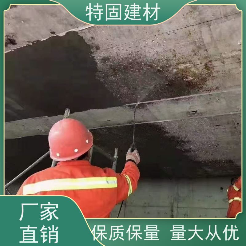 水性环氧树脂砂浆 墙面修补加固 工厂供应 发货及时 特固建材