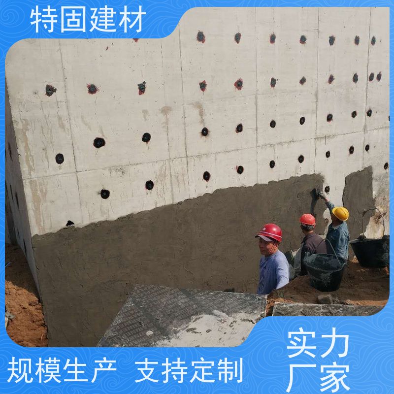 水性环氧树脂砂浆 高流态耐腐蚀 工厂供应 发货及时 特固新型建材
