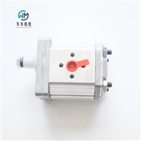 ATOS进口品牌外啮合齿轮泵PFG-174-D油泵