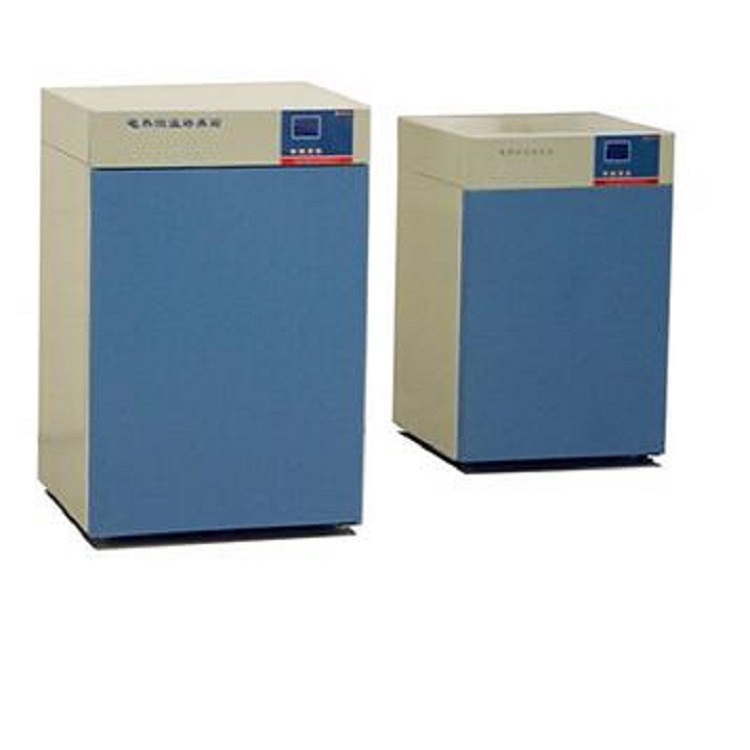 电热恒温培养箱 型号:YK22-SKP-0.3B.250库号：M397655
