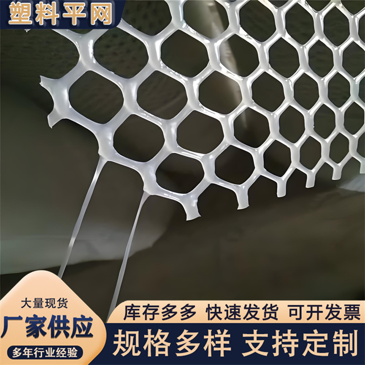 奥吉塑料格栅网规模生产养殖漏粪网白色养鸡脚垫