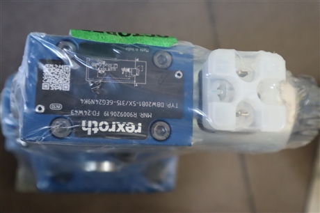 DBW20B1-5X/315-6EG24N9K4 R900920619 德国力士乐REXROTH