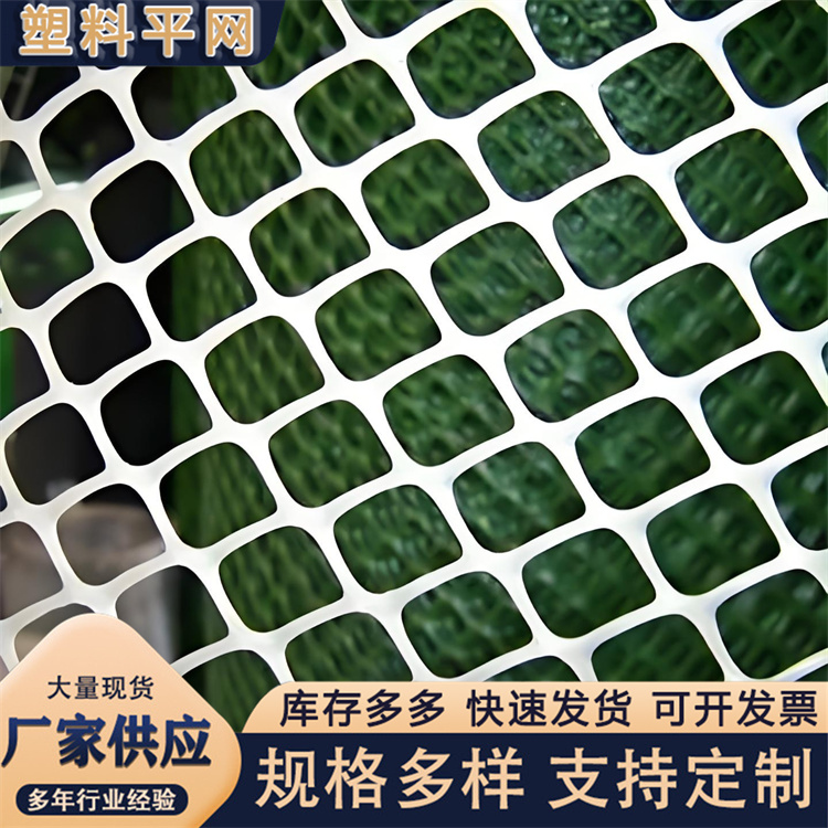 奥吉 塑料网格网 源头厂家  养殖漏粪网白色养鸡脚垫