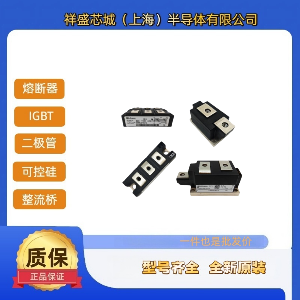 英飞凌 德国 DD100N16S 分式半导体  可控硅 货源齐全
