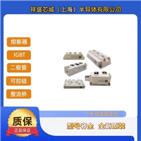 SKKD15/06 快恢复二极管 晶闸管 西门康