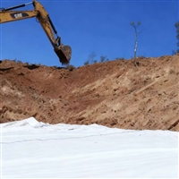 天津一布一膜100g 0.2厚100g对虾养殖池土工布