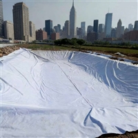 酉阳土家族苗族自治县两布一膜900克鱼养殖塘土工膜