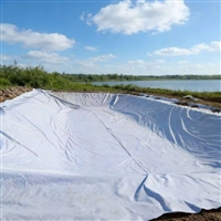 重庆市两布一膜100g 0.2厚100g蚂蝗养殖池复合防渗膜