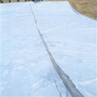 江西两布一膜150g0.4厚150g农业灌溉水池复合土工膜