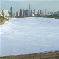 阜阳市二布一膜800克蚂蝗养殖池防水土工布