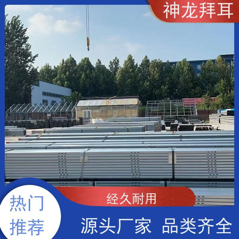 神龙拜耳 彩钢瓦bipv光伏支架 高效 公司