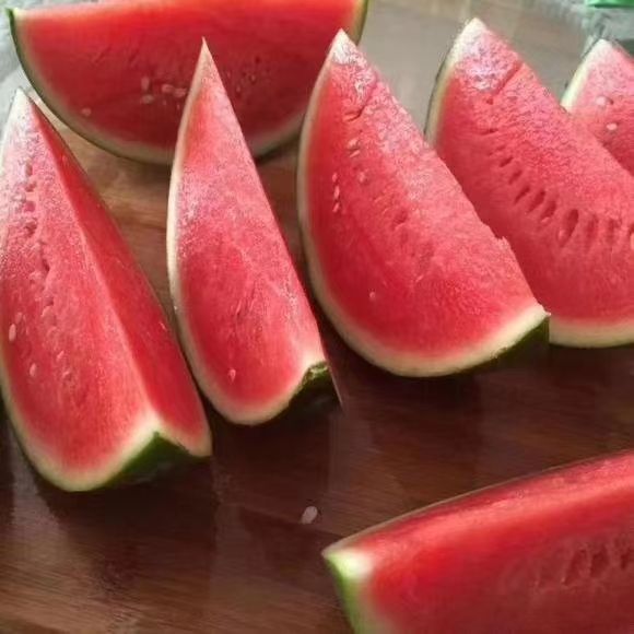 西瓜怎么种植的视频 202601191141581296.jpeg