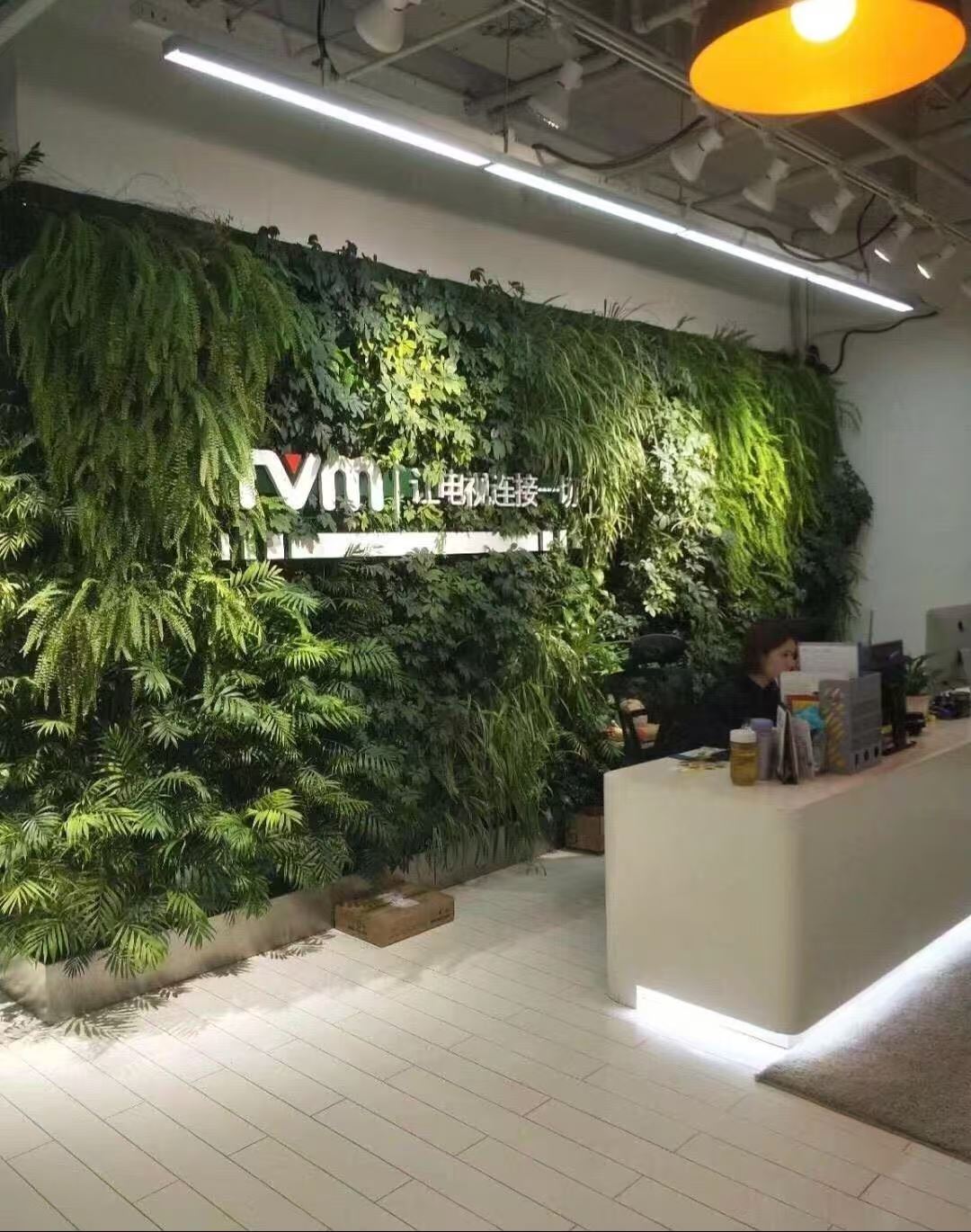 台州 室内绿植景观  批发价格