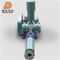 50口径罗茨鼓风机 国产罗茨风机 德协