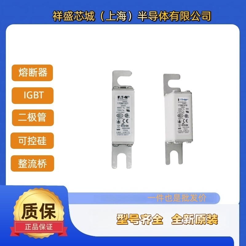 巴斯曼熔断器170M1482 170M1484 170M1485