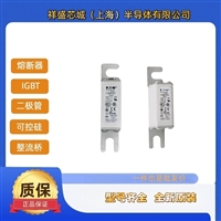 巴斯曼熔断器170M1515 170M1516 170M1517