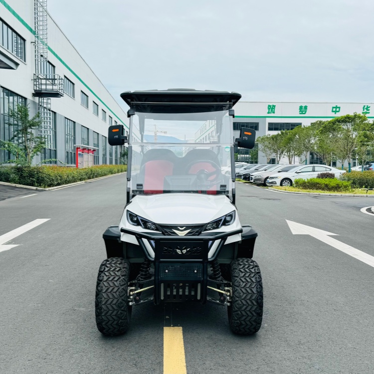 成都高尔夫球车           锂电池高尔夫球车型号有哪些