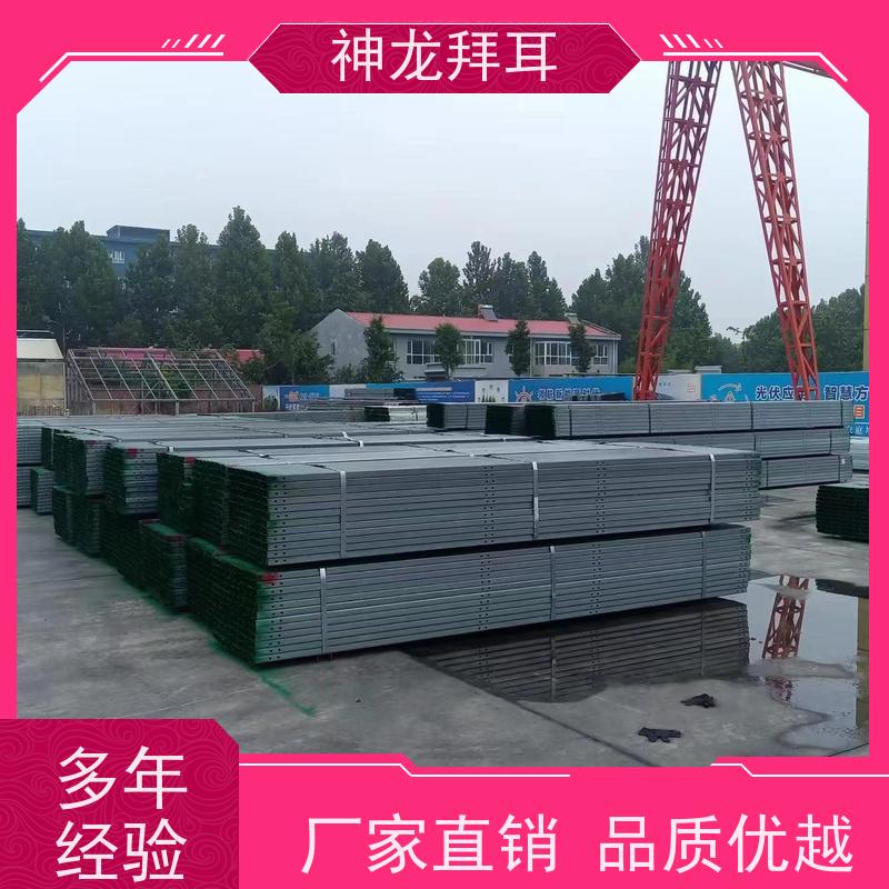 神龙拜耳 光伏支架厂家永年 精准 公司