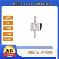 170M4692 170M4693 170M4694 巴斯曼熔断器 全新原装质量保证