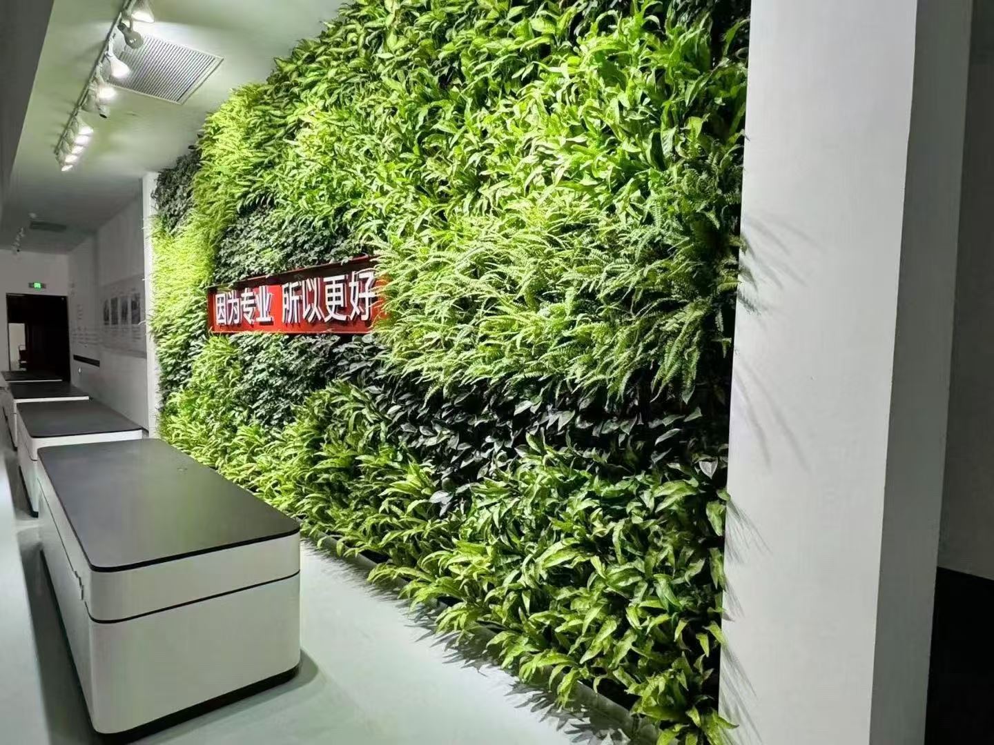 上海 室内绿植景观  免费设计安装