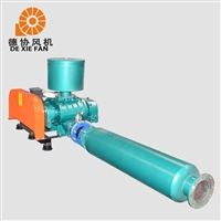 污水罗茨鼓风机  罗茨增氧鼓风机 德协