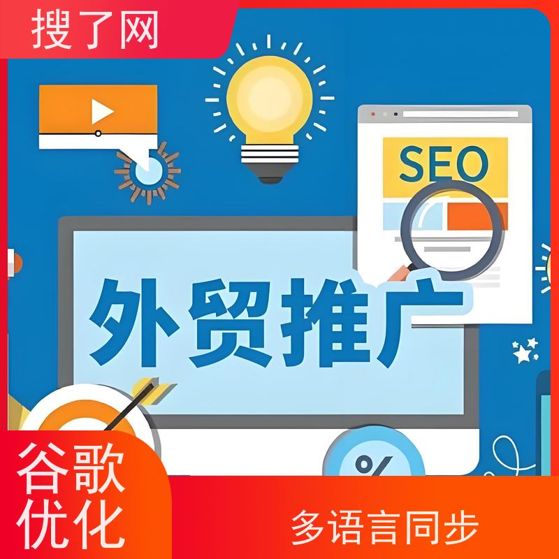 一站式saas  独立站排名优化推广 小组多对一精心服务