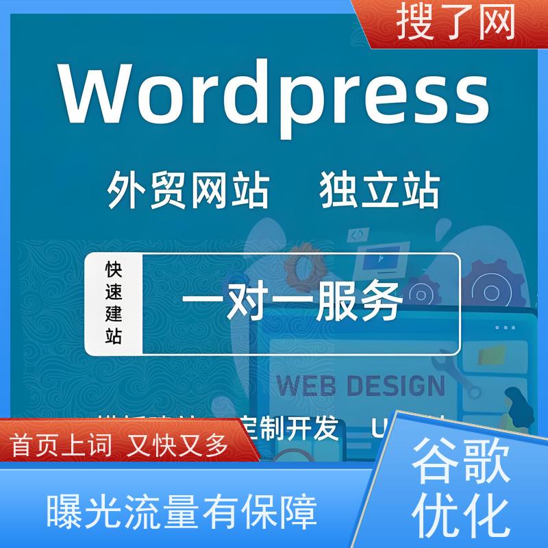 手机/电脑两端自适应  谷歌优化咨询 小组多对一精心服务