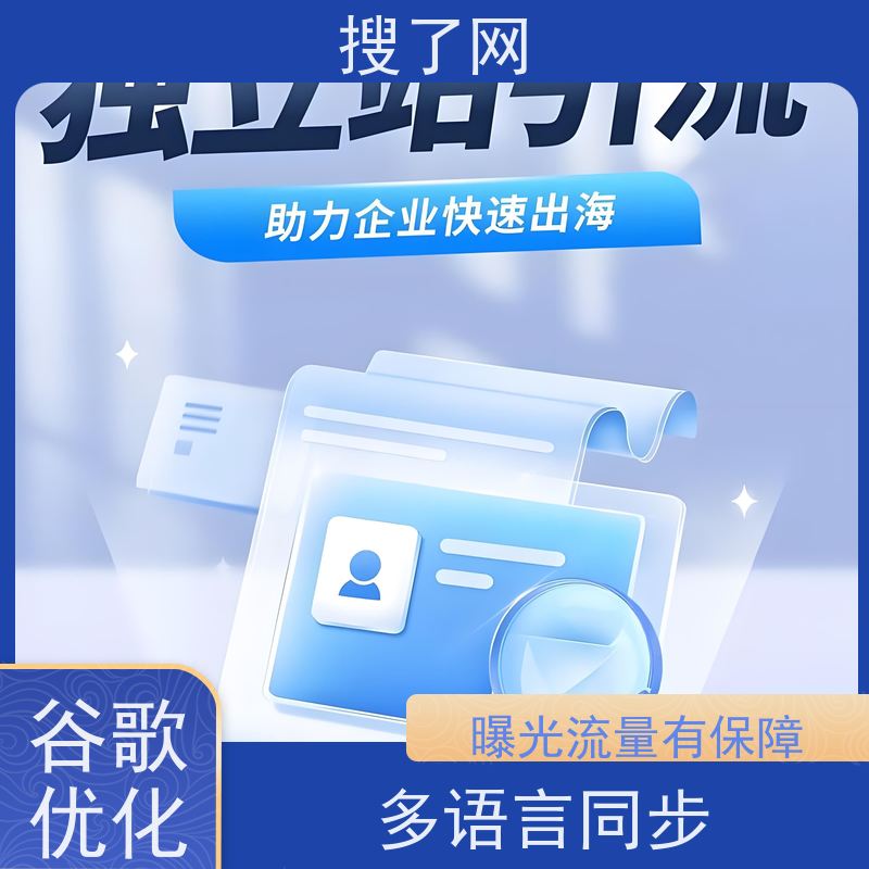 外贸网站建设 谷歌排名优化案例 服务亮点梳理