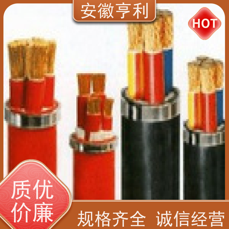 安徽亨利仪表电缆有限公司 9*1.5 严格检测 阻燃控制电缆