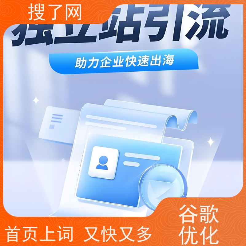 一站式saas 深圳谷歌优化 小组多对一精心服务